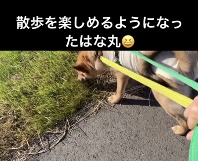 最初は怖かったけれど…