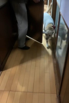 歓喜の声を上げながら登場!