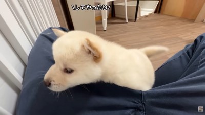 勝利した子は満足そう♪
