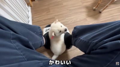 また甘えにくる子も♡