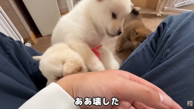 争いがスタート！