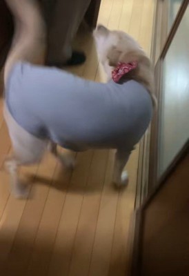 大はしゃぎ!