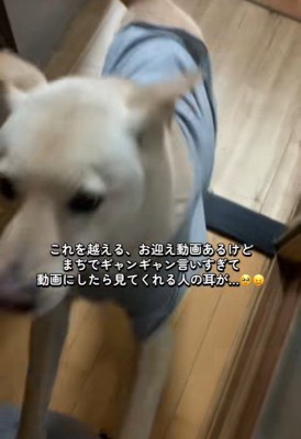 飛びついて歓迎♪