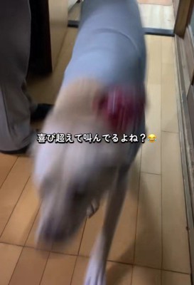 行ったり来たり…