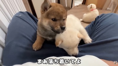 微笑ましい光景♡