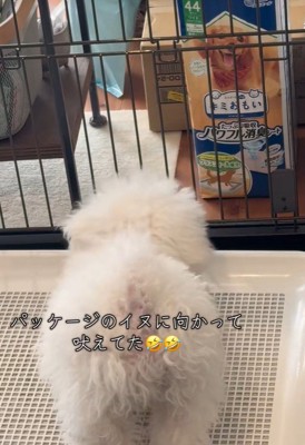吠えている相手は、パッケージの犬