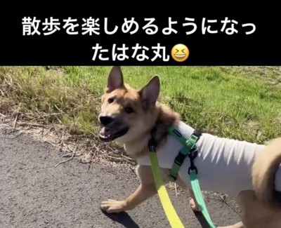 今ではエンジョイできるように