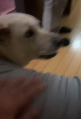 ナデナデ♡