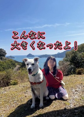 大きくなった白い犬と娘さんのツーショット