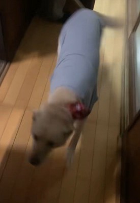 投稿者さんのもとへ