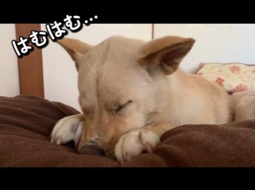 赤ちゃんのようで可愛い♡