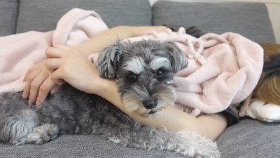 抱っこして眠りを誘ったら…