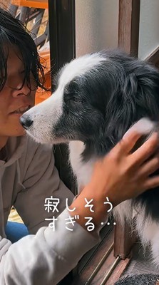 犬の顔を優しく撫でる男性