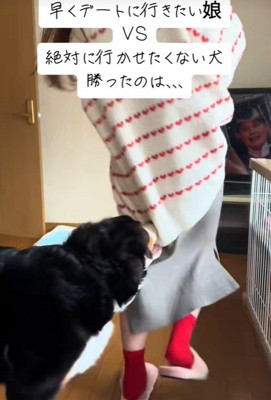 カーディガンをガブッ