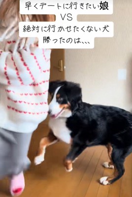 追いかけるリクくん