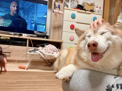 無邪気