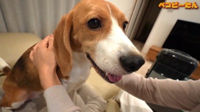 幸せそうな笑顔♪