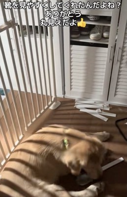 確かに見やすい…