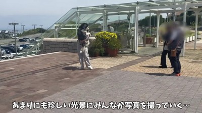 写真撮影まで行われて…