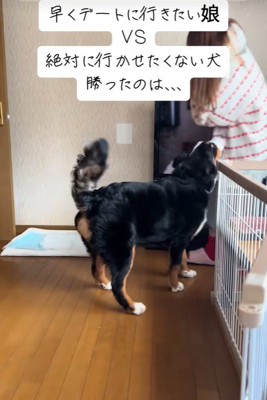 「絶対に行かせないぞ！」