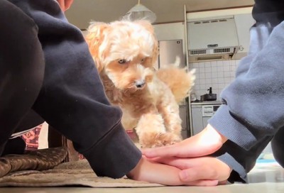 チャレンジ大成功！！