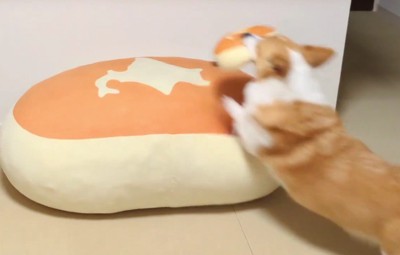 勢いよくジャンプ