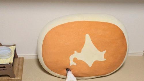 北海道クッションのそばで…
