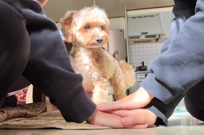「こうするの？」