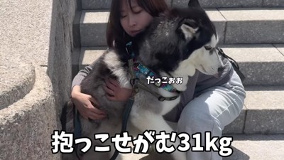 「むりです…」