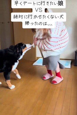 マフラーの引っ張り合い開始