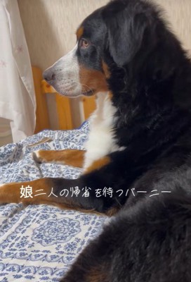 「お姉ちゃんたち、まだかな～」