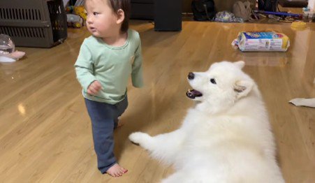 こはくちゃんから甘えることも