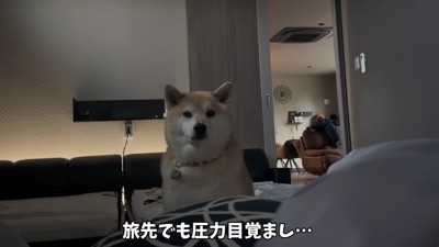 旅行先での朝