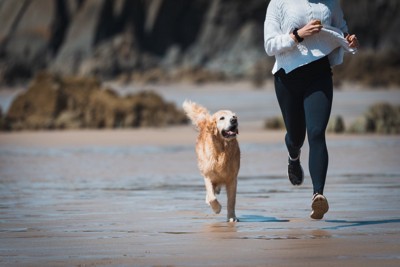 浜辺で犬と走る女性