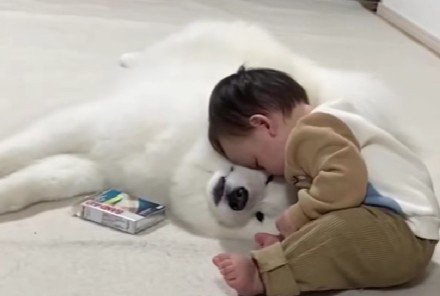 枕になることを決意
