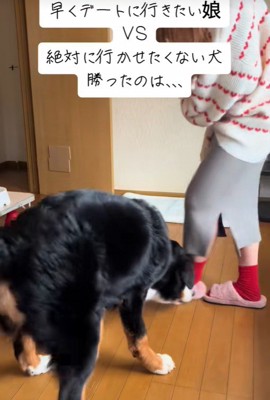 スリッパをガブガブ…