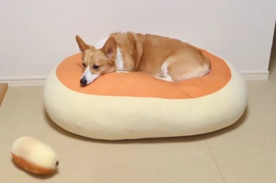 落ちちゃった…