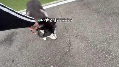 なんとか帰路へ