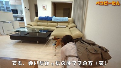 ママさんの愛が止まりません…！