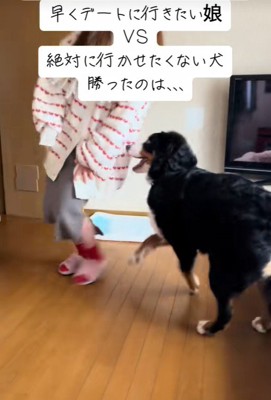 なんだか楽しそう♪