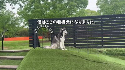 帰りたくないおこめくん