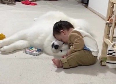 「えっ…ここで寝るの？」