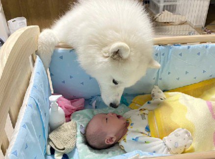 ふたりにしか分からない会話