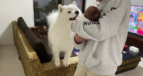 ドキドキの初対面