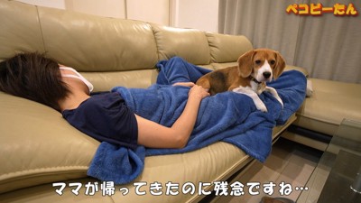 まさかの体調不良でダウン！
