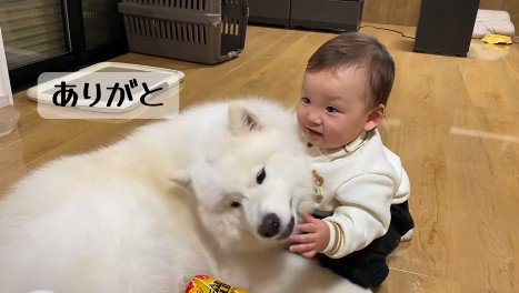 こはくちゃん愛が止まらない！
