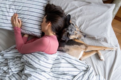 犬と一緒に眠る女性
