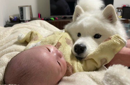甲斐甲斐しくお世話