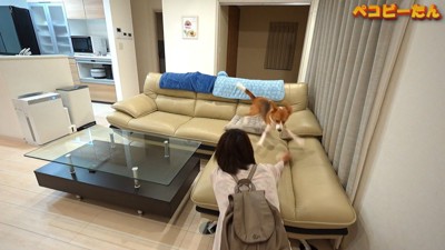 ペコちゃんは歓喜の舞を披露♪