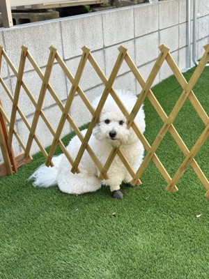 どっち